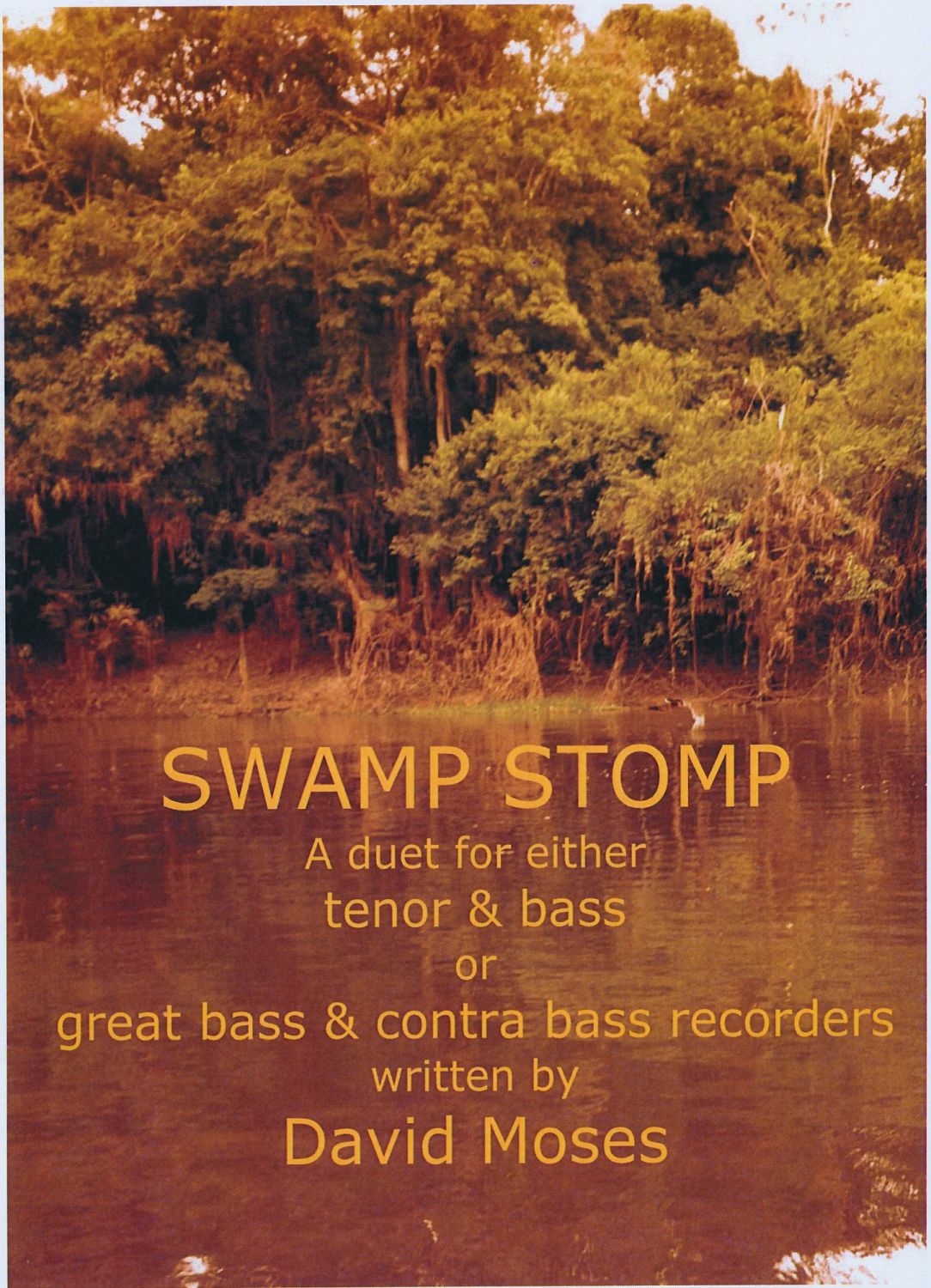 Swamp Stomp (Tenor & Bass, or Gt Bass & Contra)