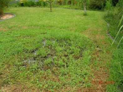 failed septic tank soakaway under a lawn