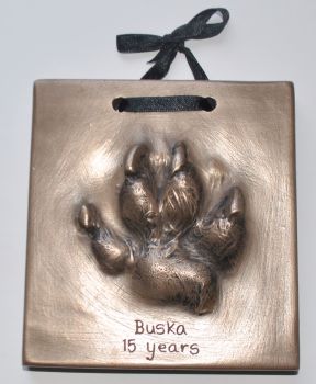 Bronze resin pet paw