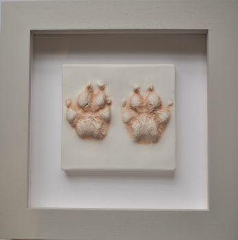 Dog paw impressions framed 