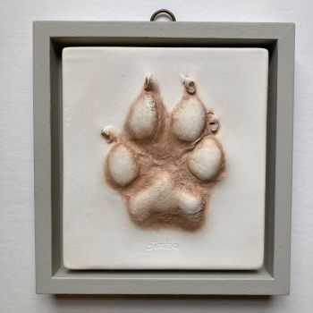 Paw print in open frame 