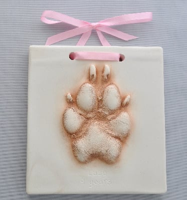 Pet paw Hanging Impression (extra small size)