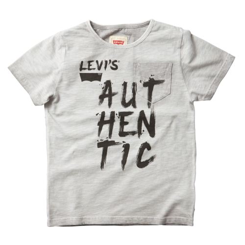 Boys Levis T Shirt Grey