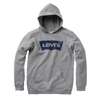         Boys Levis Hoodie N91503A - Silver