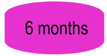     6 Months