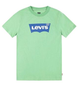 Boys Levis Batwing T Shirt - Meadow