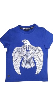 Boys GWD Falcon T Shirt