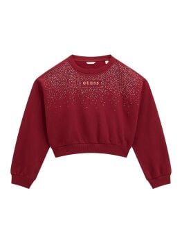 PRE ORDER Girls Guess Crop Long Sleeve Active Top J5BQ05