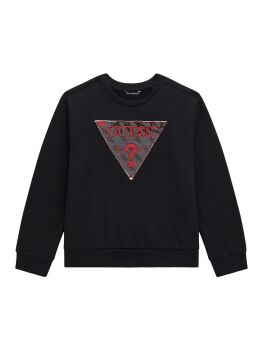 PRE ORDER Boys Guess Sweater L5BQ02