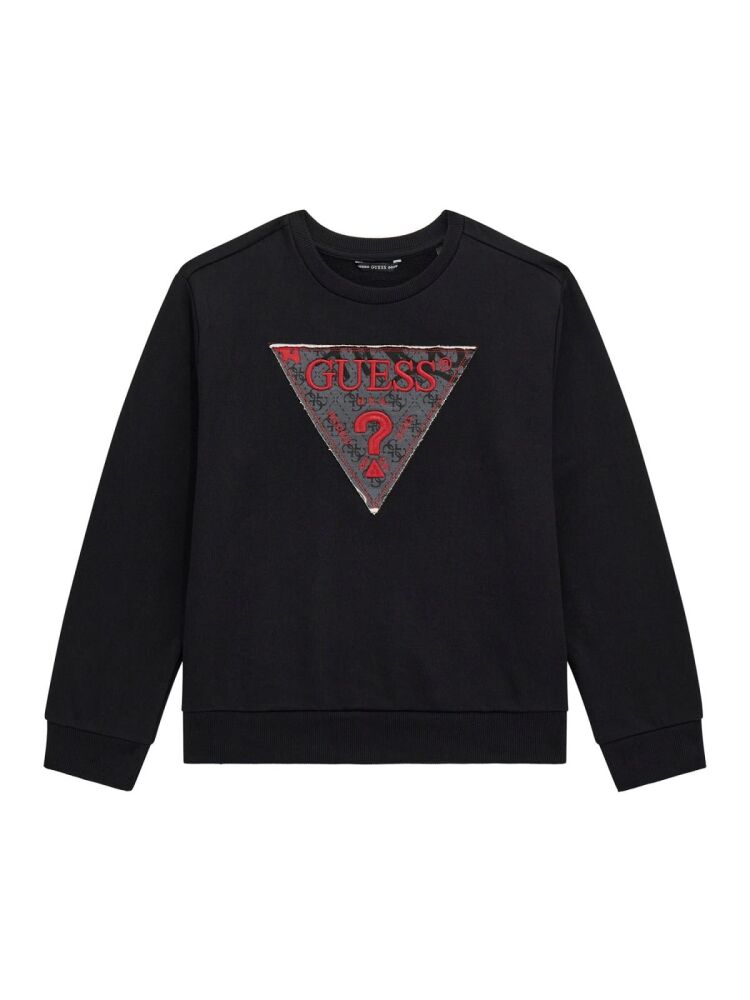 PRE ORDER Boys Guess Sweater L5BQ02