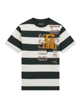 PRE ORDER Boys Guess T Shirt L5BI25