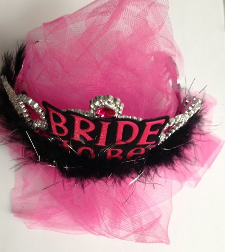 Bride To Be Tiara & Pink Veil