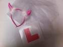 Hen Party Bride To Be Set (Veil & L Plate) 