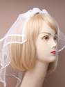 Hen Party Headdress / Veil 