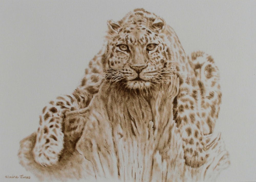 (W110A) Leopard (unframed original)