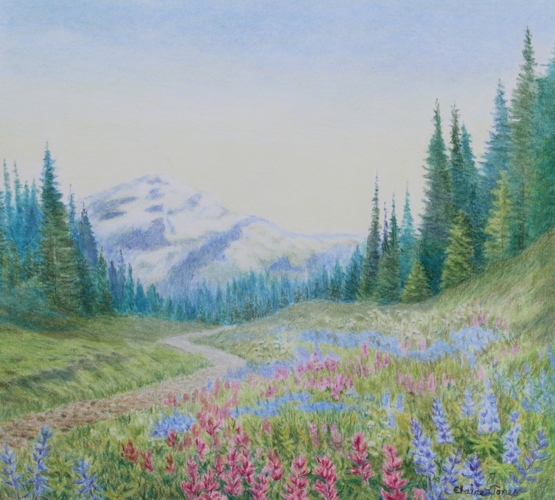 (L105B) Mount Rainier Wildflowers (Original crayon drawing, mounted ready t