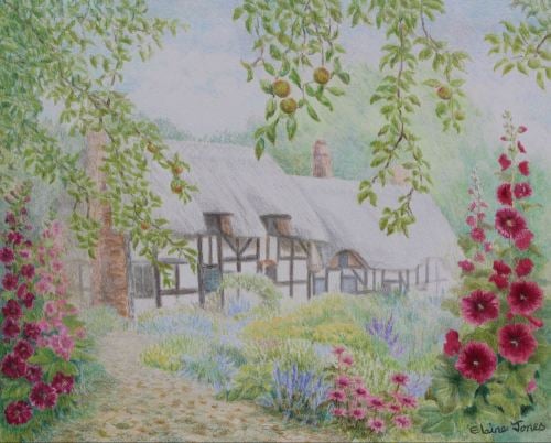 (L106B) English Cottage Garden (Original coloured pencil drawing, mounted/m