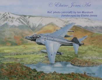 (A117C) Harrier over Derwentwater