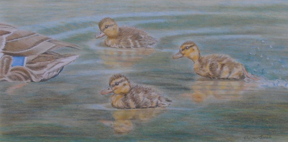 (W107A) Wait For Me! (Original Coloursoft crayon painting)