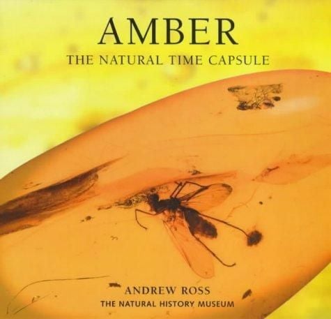 Amber: The Natural Time Capsule (Paperback)