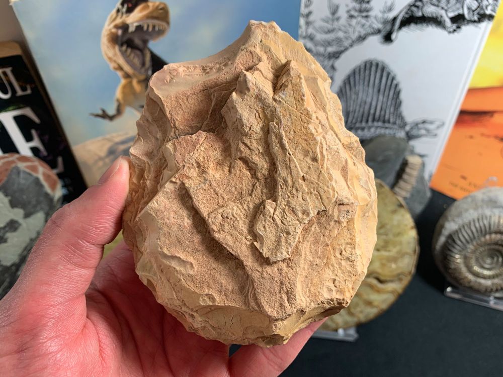 Palaeolithic Hand Axe (Draa Valley, Morocco) #06