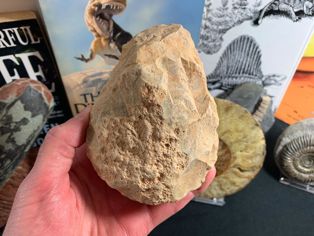 Palaeolithic Hand Axe (Draa Valley, Morocco) #08