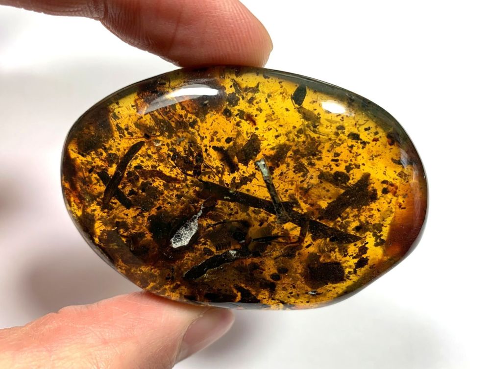 Chiapas (Mexican) Amber with Botanicals & Spider