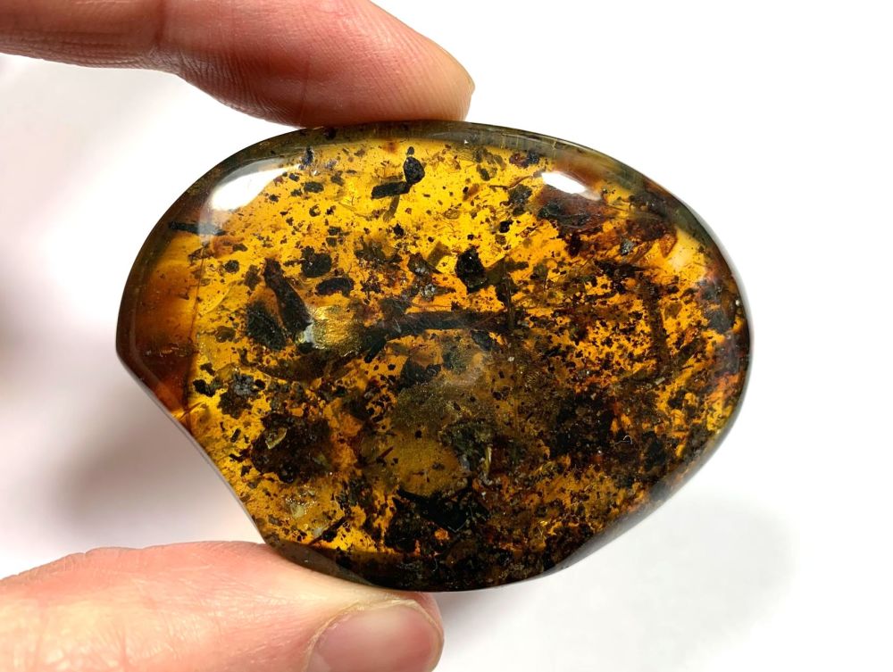 Chiapas (Mexican) Amber with Botanicals & Spider