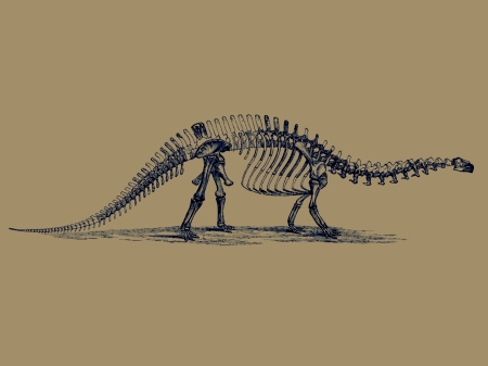Sauropod 