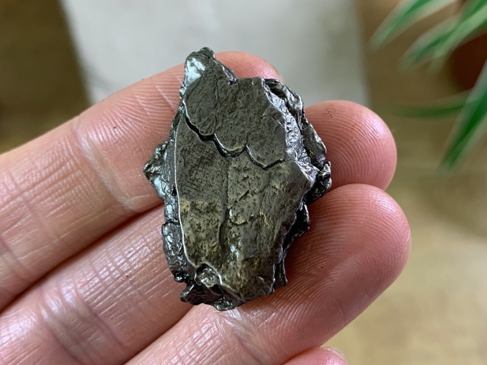 Campo del Cielo Meteorite (23.5g) #05