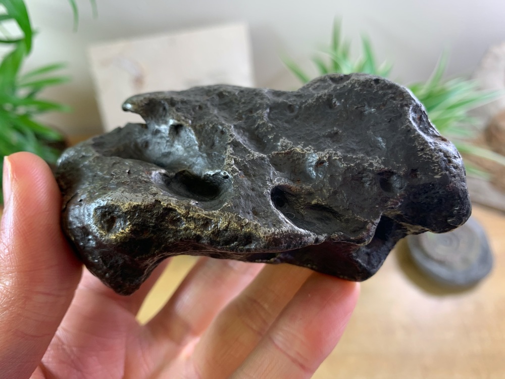 Extra Large Campo del Cielo Meteorite (734 grams)