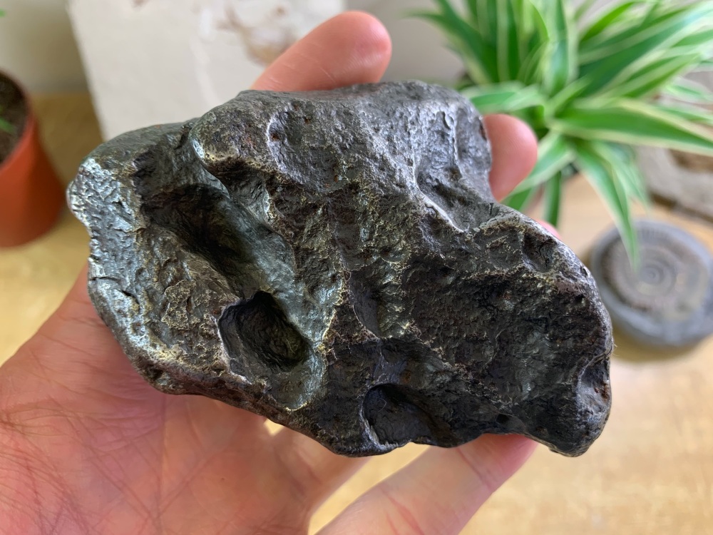 Extra Large Campo del Cielo Meteorite (734 grams)