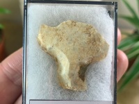 Paleolithic Arrowhead, Sahara (70,000 BP) #01