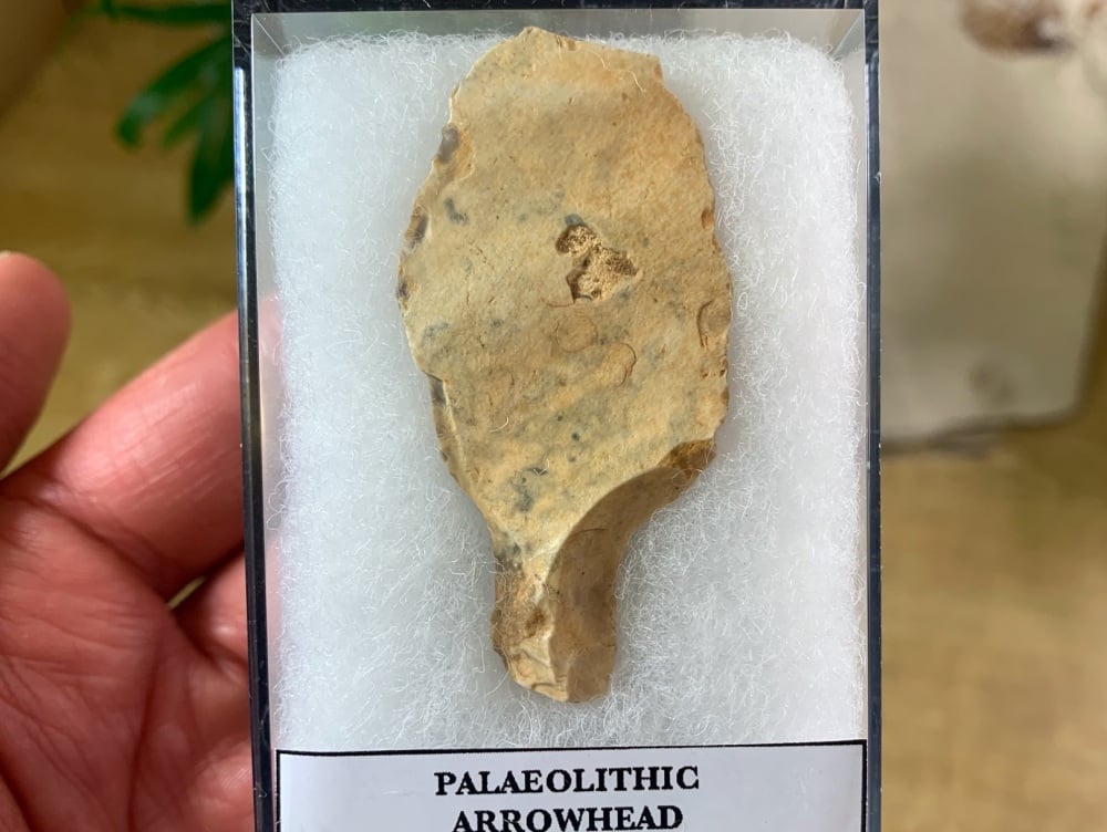 Paleolithic Arrowhead, Sahara (70,000 BP) #04