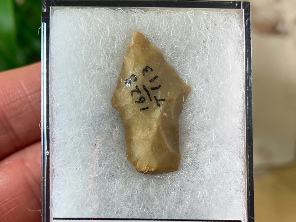 Native American Arrowhead (3,000 - 11,000 BP) #02