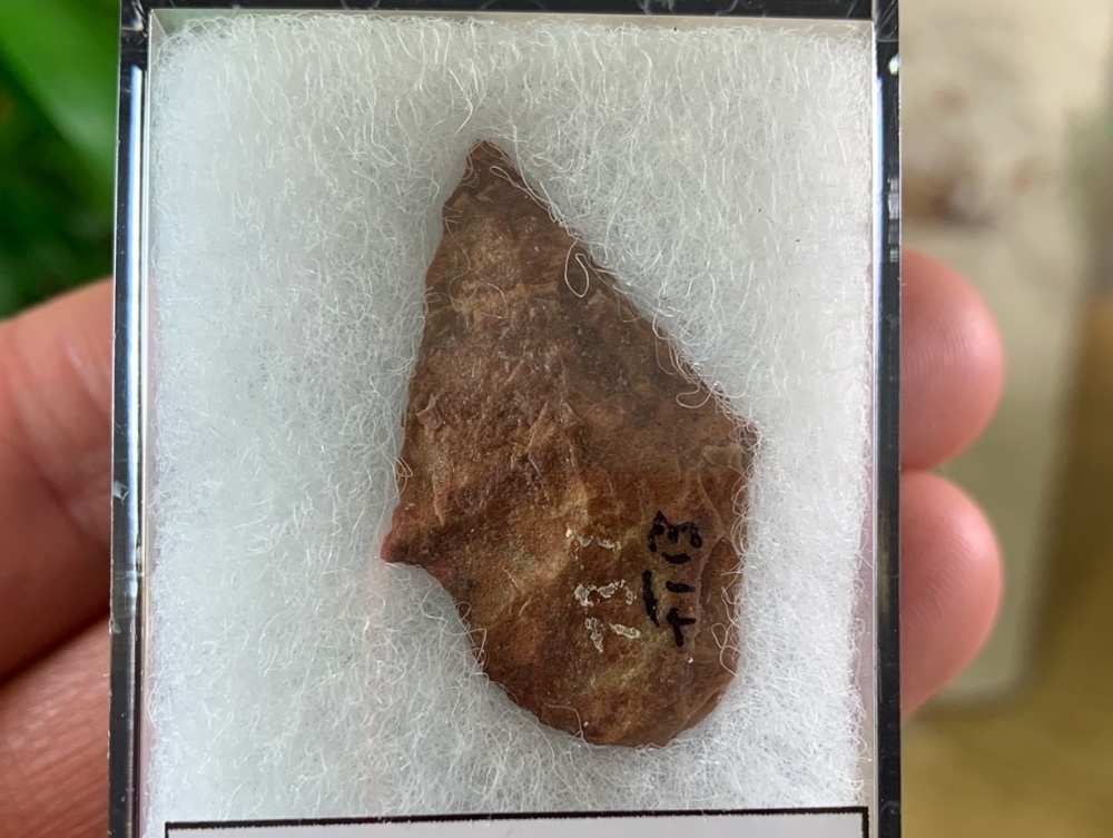 Native American Arrowhead (3,000 - 11,000 BP) #03