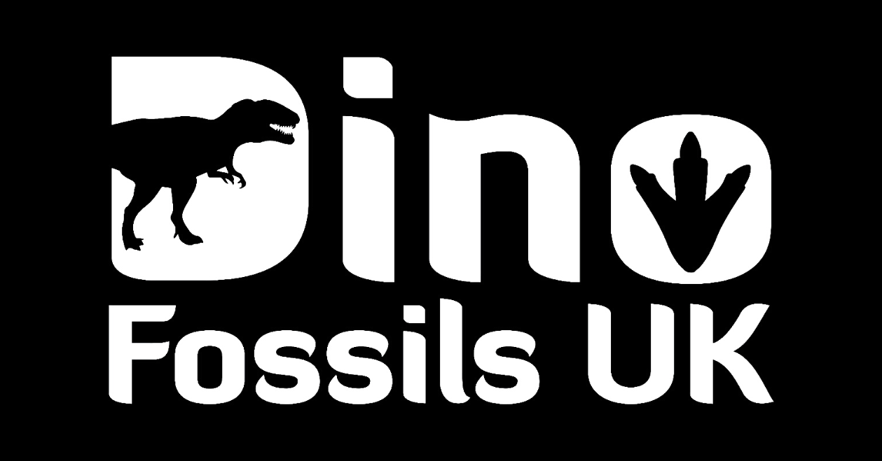 Dino Fossils UK Logo