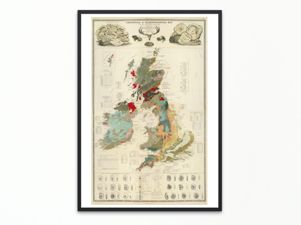 HUGE Palaeontological Map of Britain (1854)