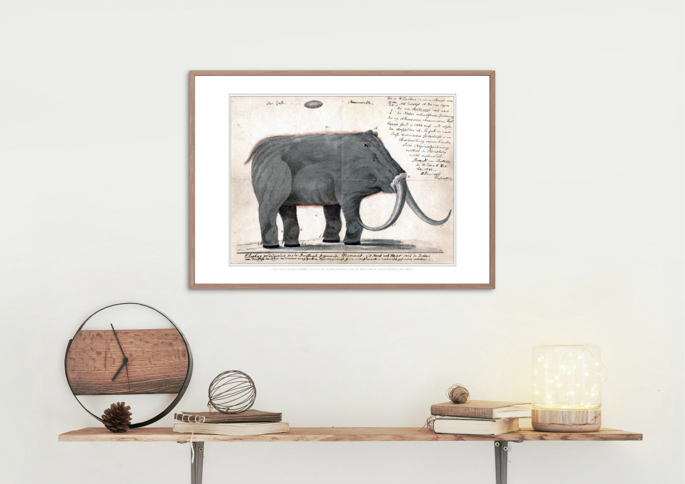 Adams Mammoth