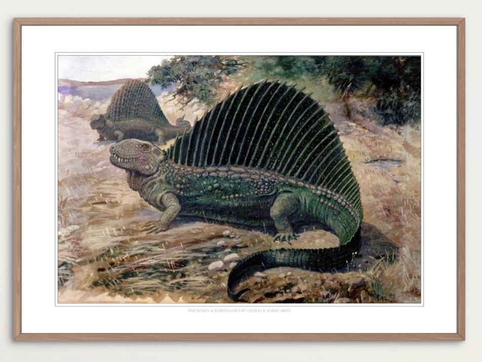 Dimetrodon and Edaphosaurus (C. R. Knight, 1897)