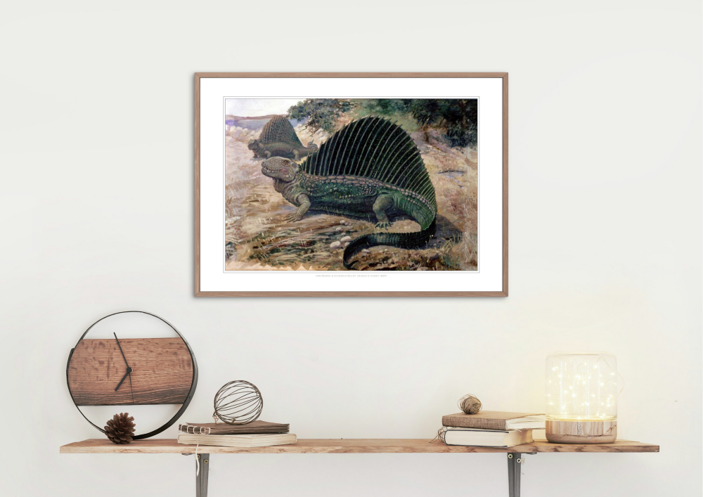 Dimetrodon and Edaphosaurus (C. R. Knight, 1897)