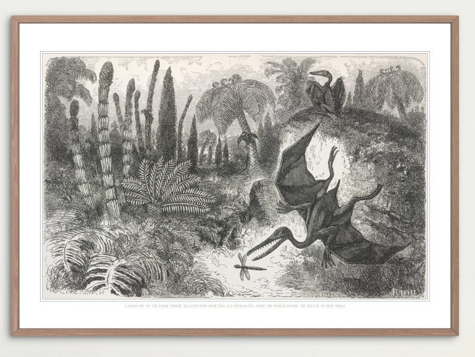 Pterodactyls (Riou, 1865)