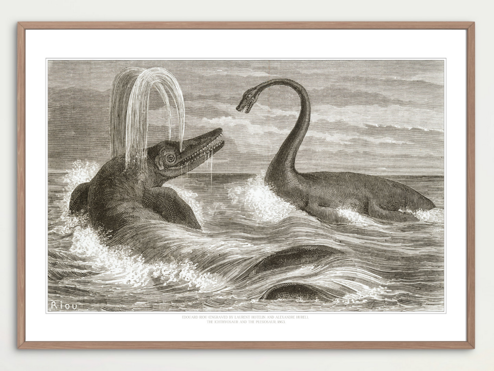 Ichthyosaur & Plesiosaur (Édouard Riou)
