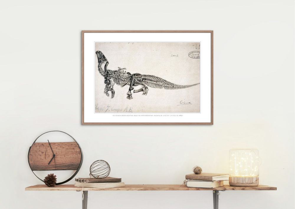 Bernissart Iguanodon (G. Lavalette, 1882)