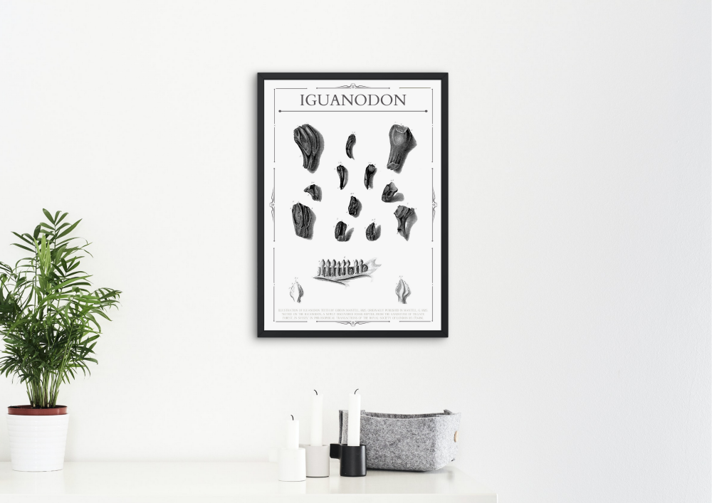 Iguanodon Teeth (Gideon Mantell)