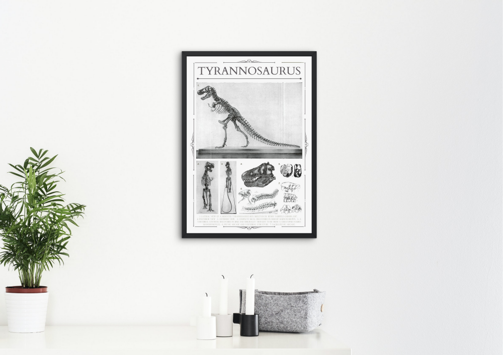 Tyrannosaurus rex