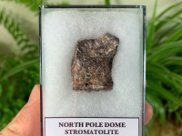 FIRST LIFE, North Pole Dome Stromatolite (Pilbara, Australia) #03