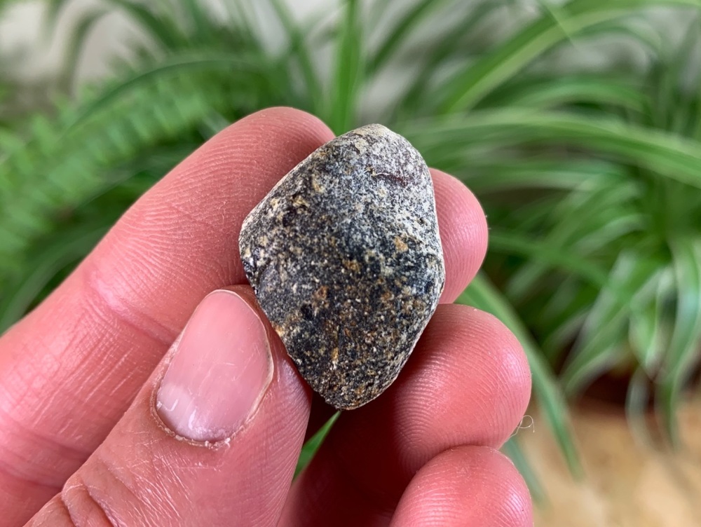 Borneo Amber #01