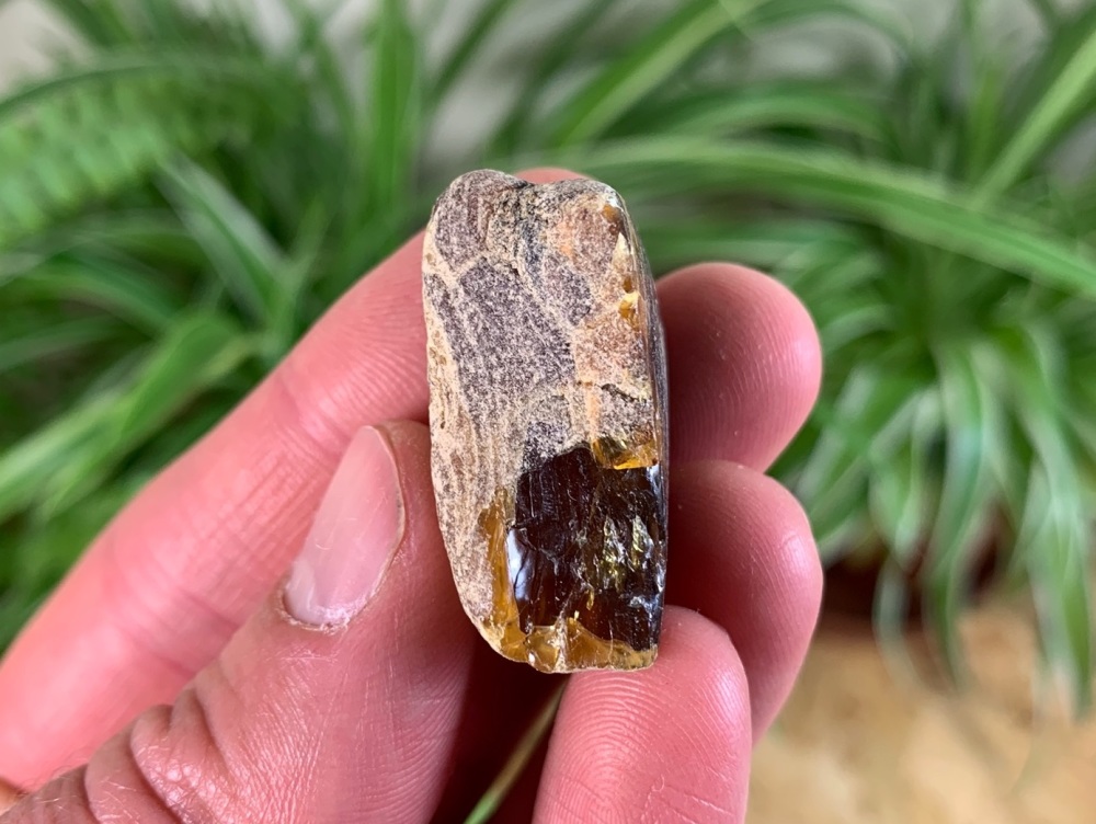 Borneo Amber #03
