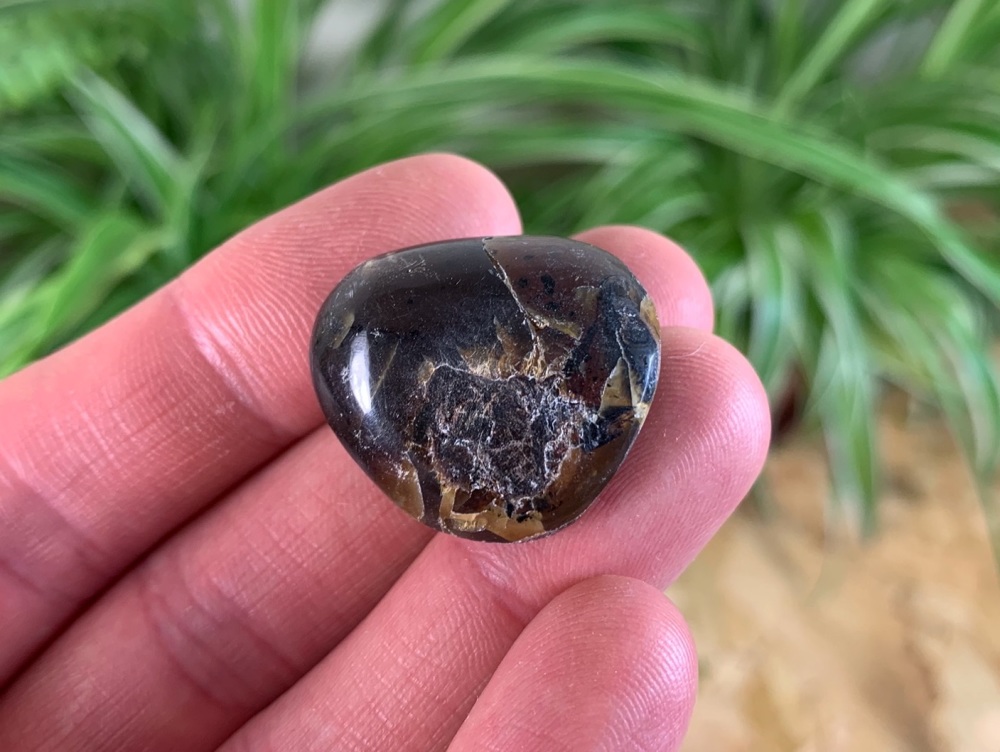 Sumatran Amber #04